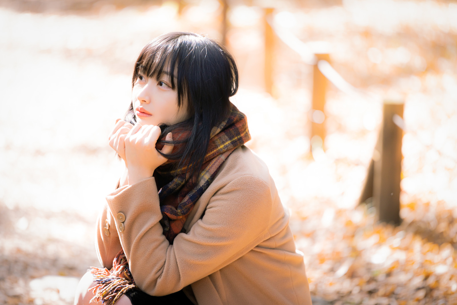 大学生の女性 大学生の女性