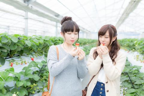 モテる男性が女性を競わせるテクニック