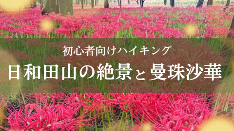日和田山と曼殊沙華